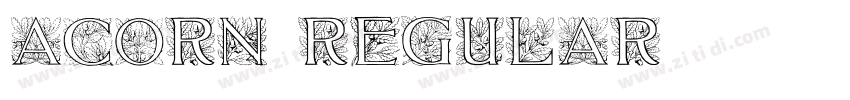 Acorn Regular字体转换